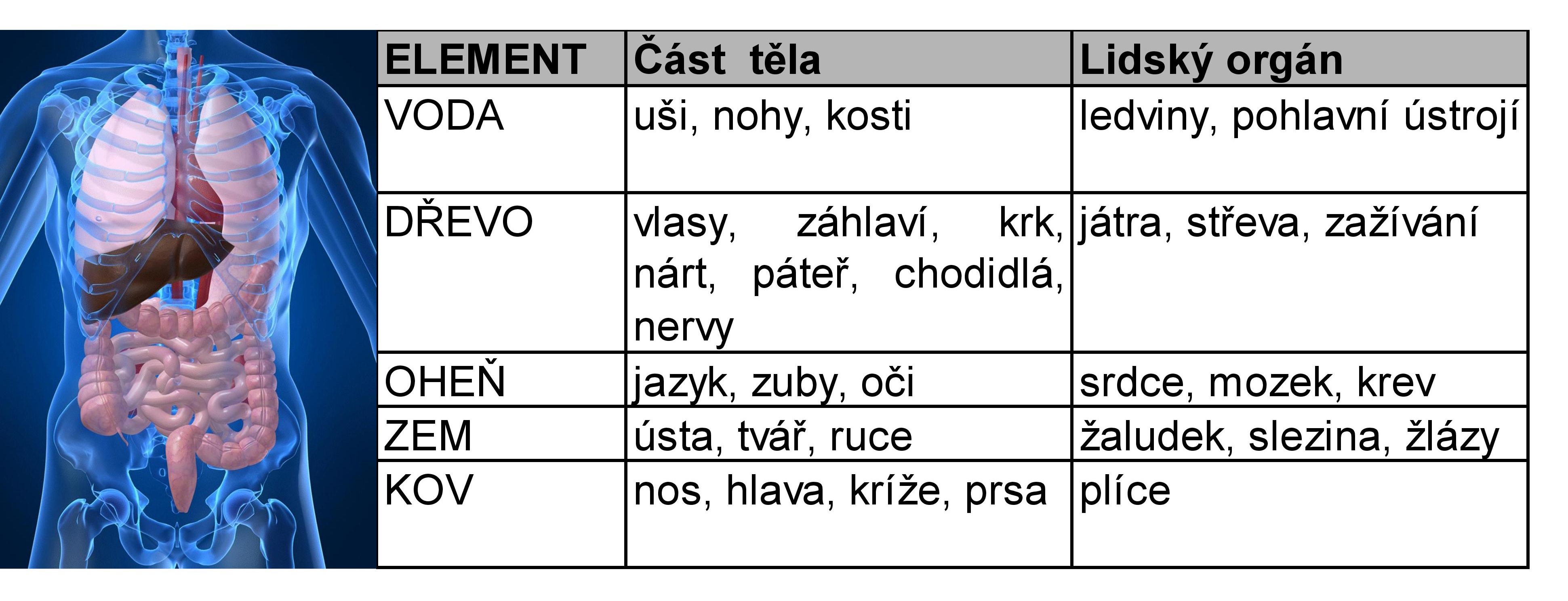 5 elementu a telo page 001 1